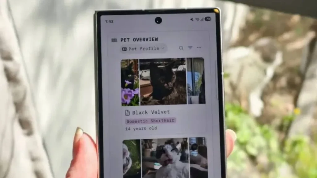 En iyi Google Docs alternatifleri