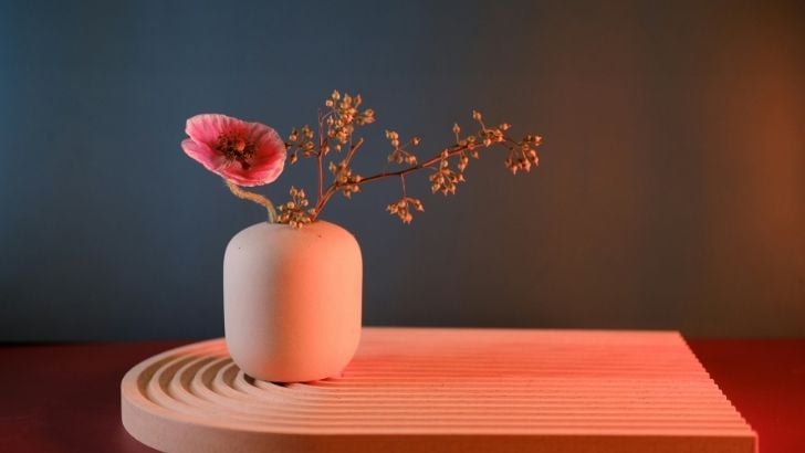 Japon çiçek düzenleme sanatı Ikebana yaşam alanlarına nasıl uygulanır?